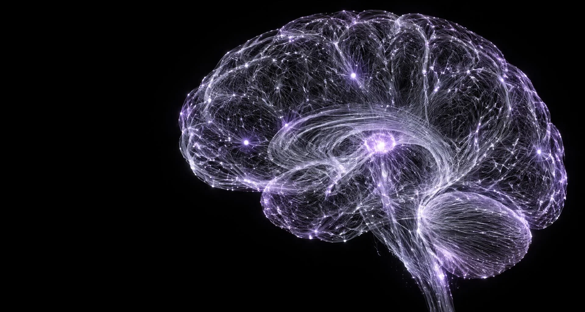 Artistic visualization of interconnected neural pathways in the human brain